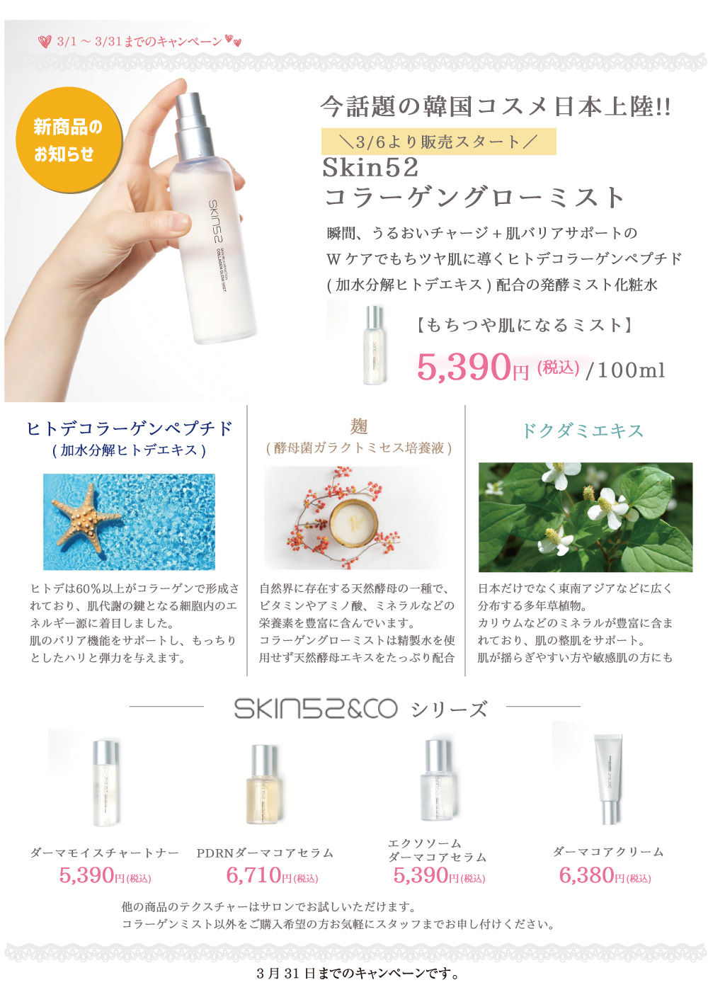 キャンペーン5