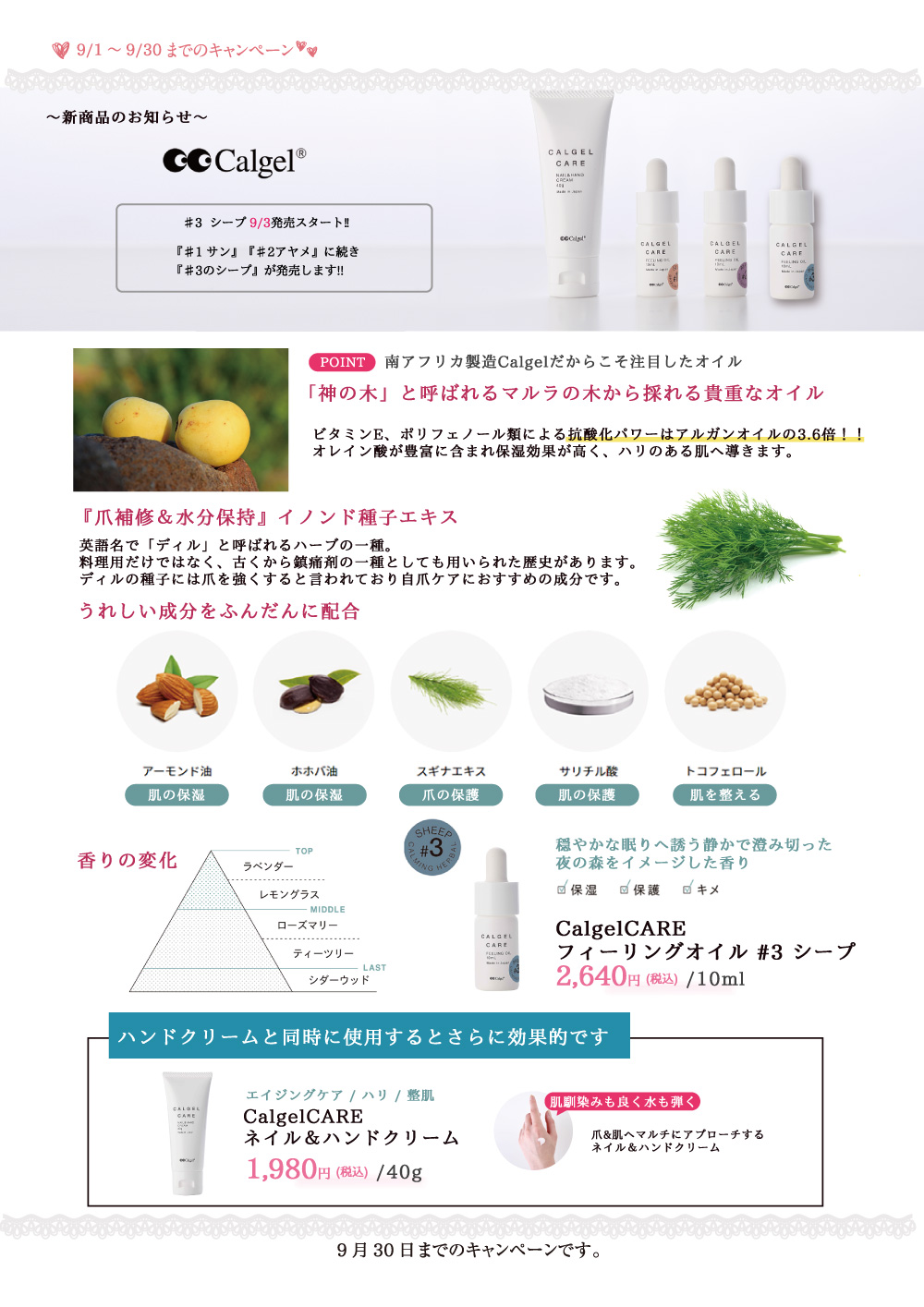 キャンペーン3