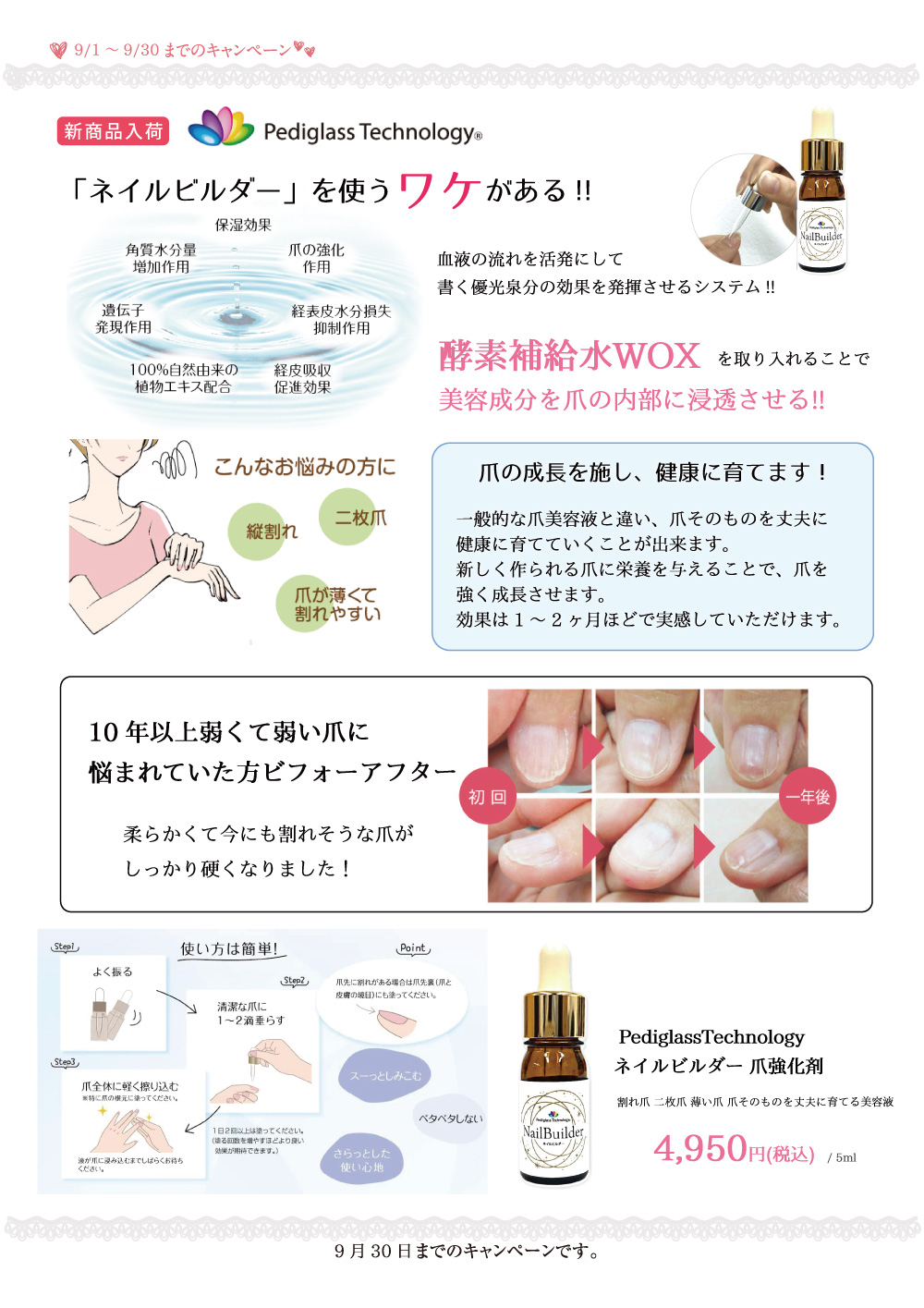 キャンペーン5