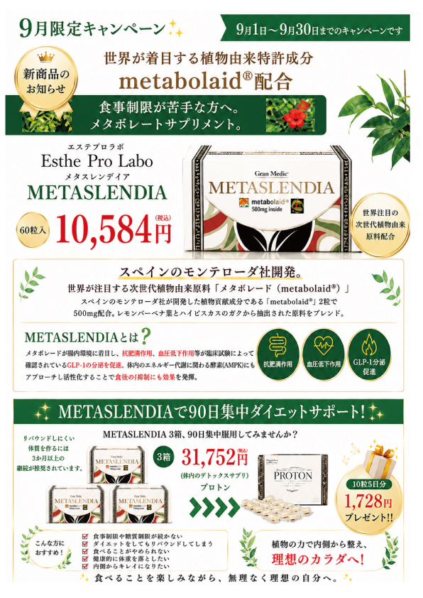 キャンペーン11